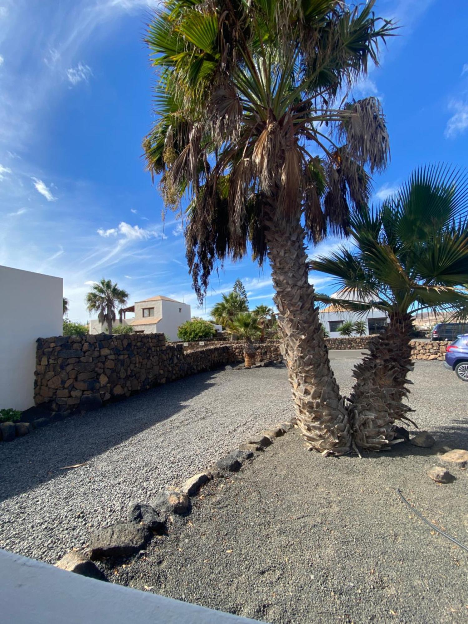 De Suenos Villa Lajares